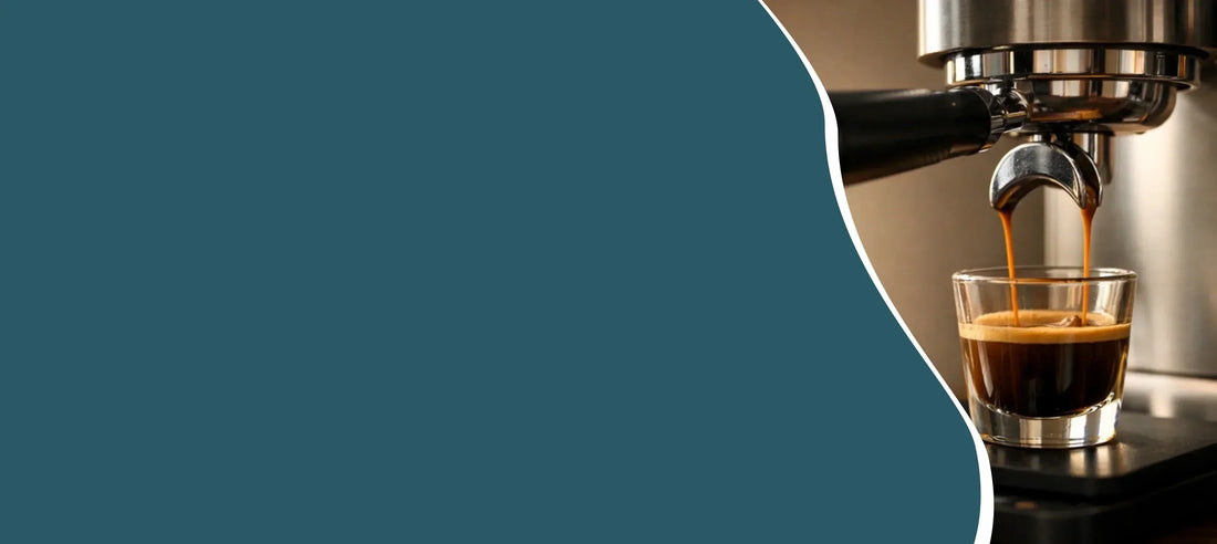 Gids waarin het verschil tussen een espresso en een lungo wordt uitgelegd.