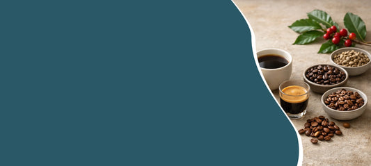 Hero banner met verschillende koffiebonen, gezette koffie en koffiecherries als visuele uitleg van koffievariëteiten en smaakverschillen