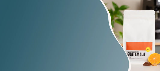 hoeveel scheppen koffie heb ik nodig filterkoffie blog