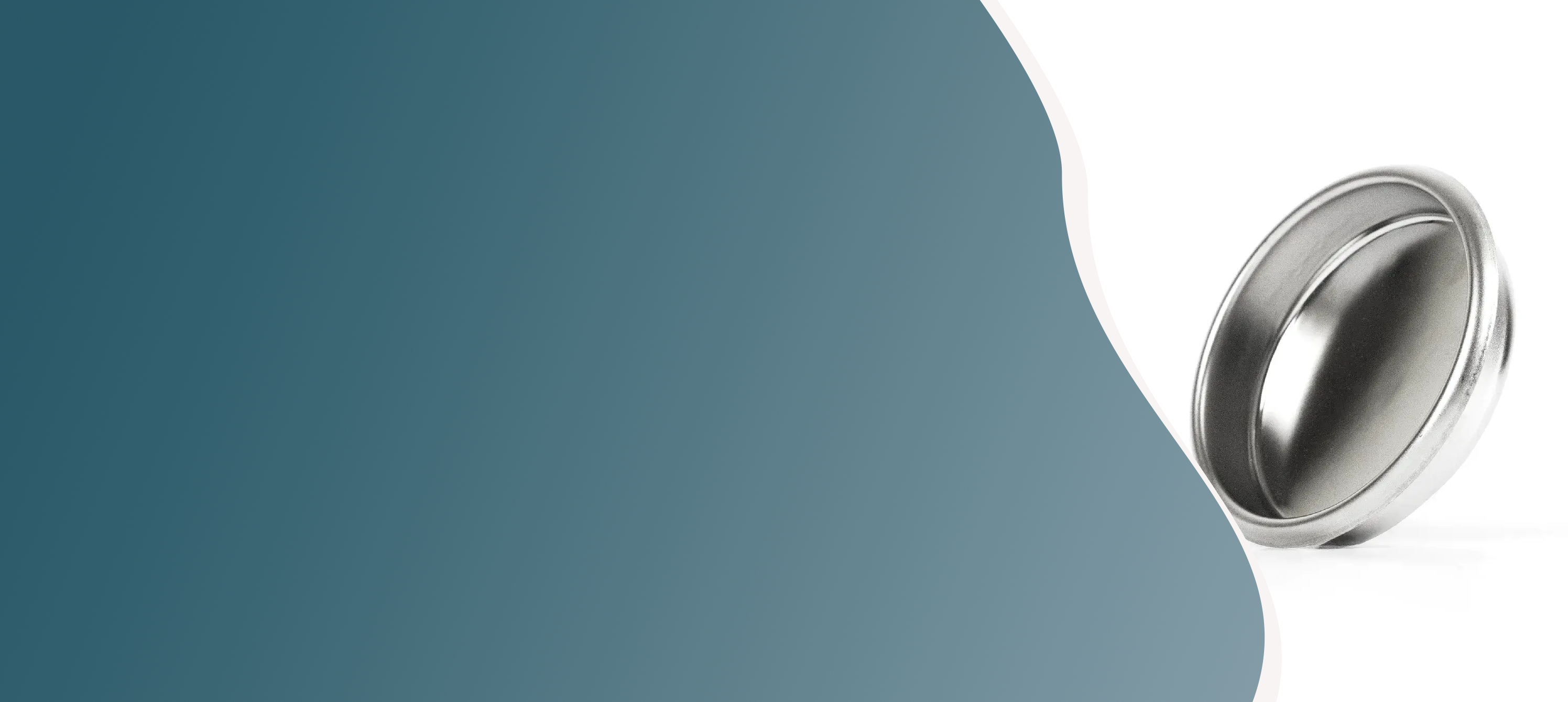 Bannerafbeelding met RVS blindfilter voor espressomachine, gebruikt voor backflushen en zetgroep reinigen.