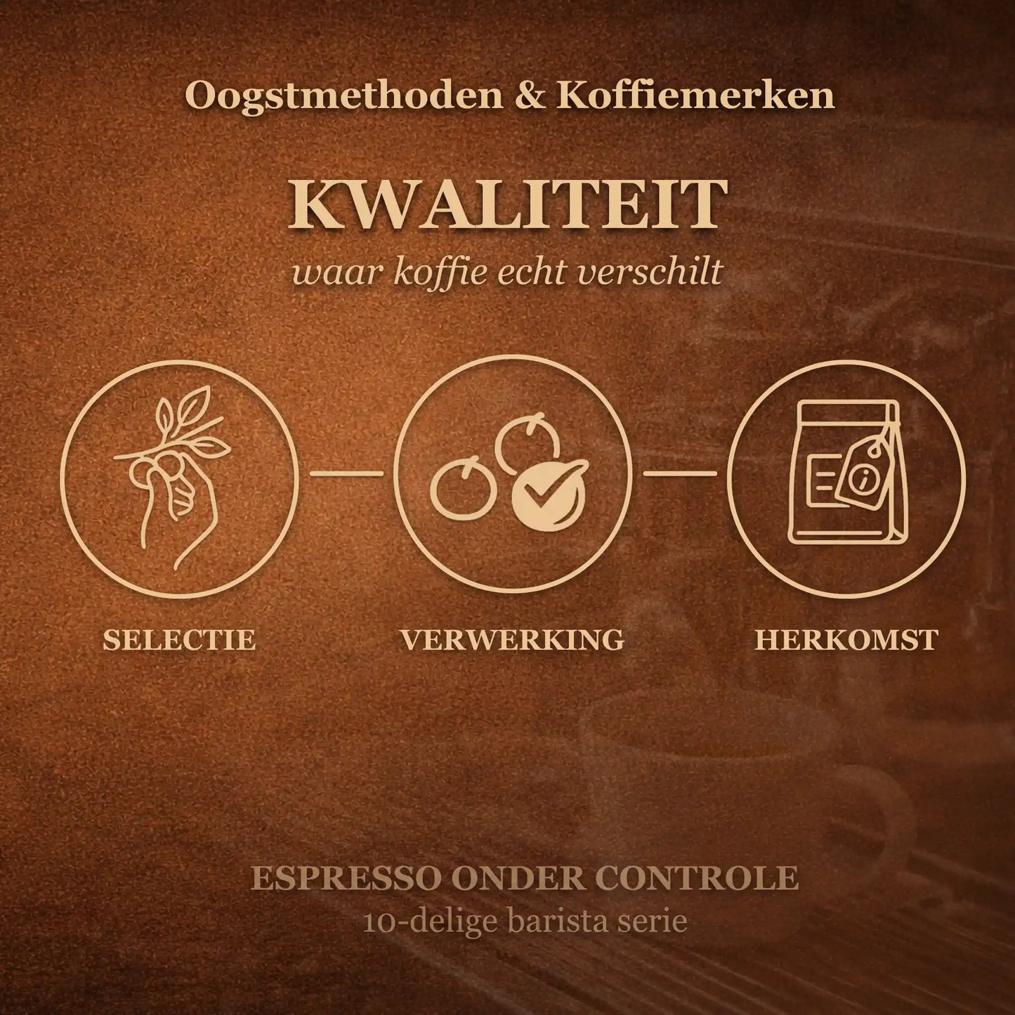 Visueel model van koffie kwaliteit met selectie verwerking en herkomst als factoren die bepalen hoe goed koffiebonen werken voor espresso