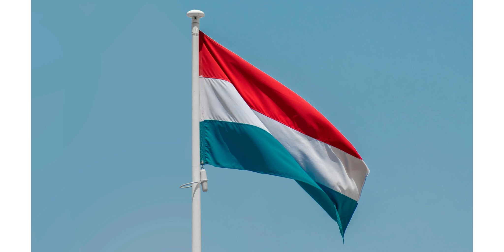 Lokale verwerking bij de Barista Shop