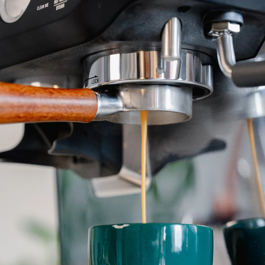 Naked portafilter 54 mm hout voor Sage: detail van espresso boven een groen kopje