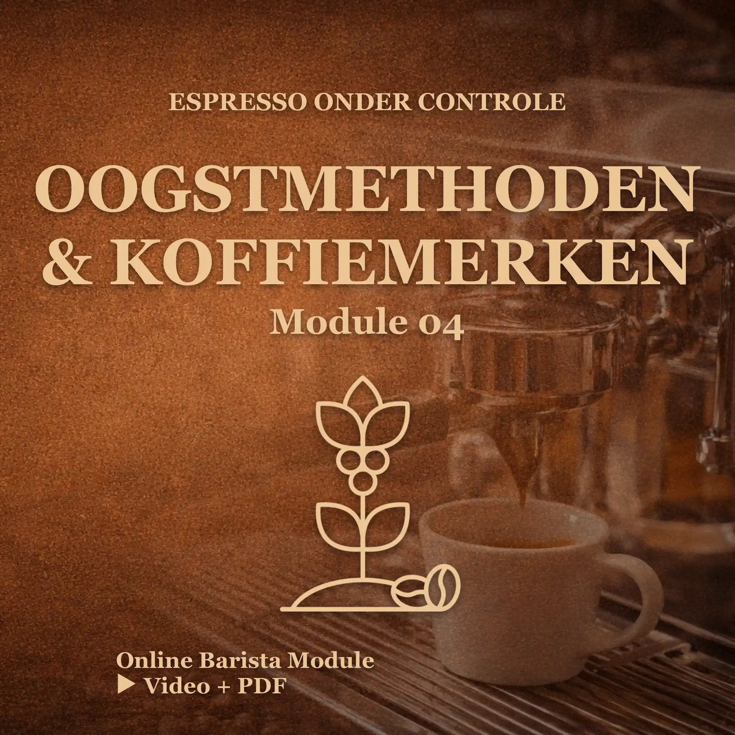 Online barista module oogstmethoden en koffiemerken uitleg over koffieproductie
