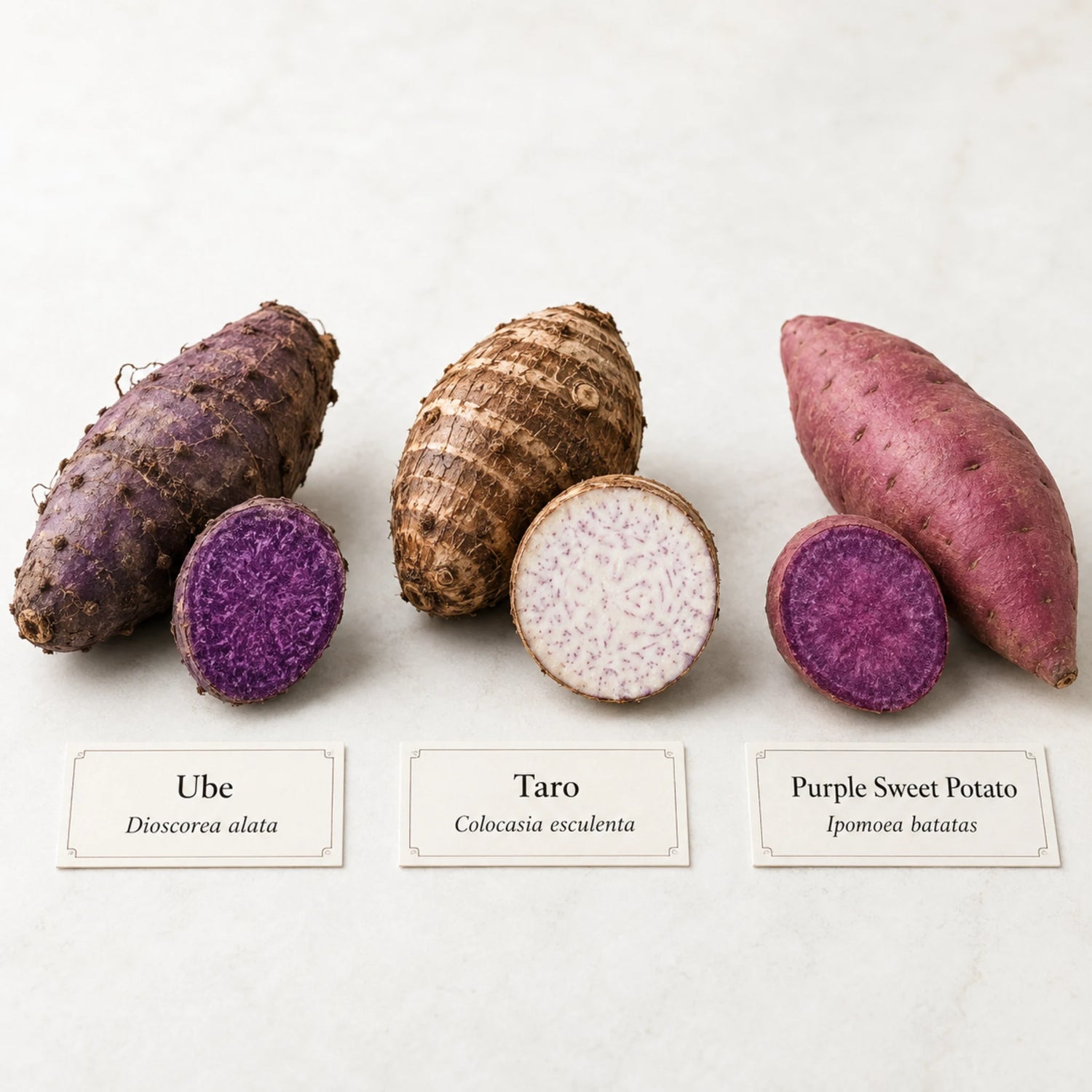 Paarse ube, taro en paarse zoete aardappel naast elkaar met de botanische namen Dioscorea alata, Colocasia esculenta en Ipomoea batatas.